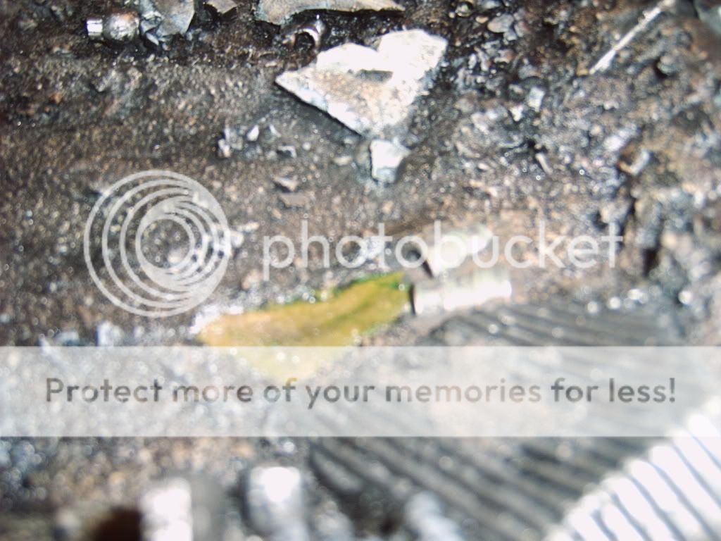IMG00391.jpg