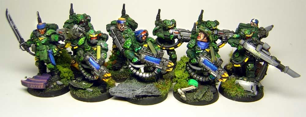 ArcadiaVets2.jpg