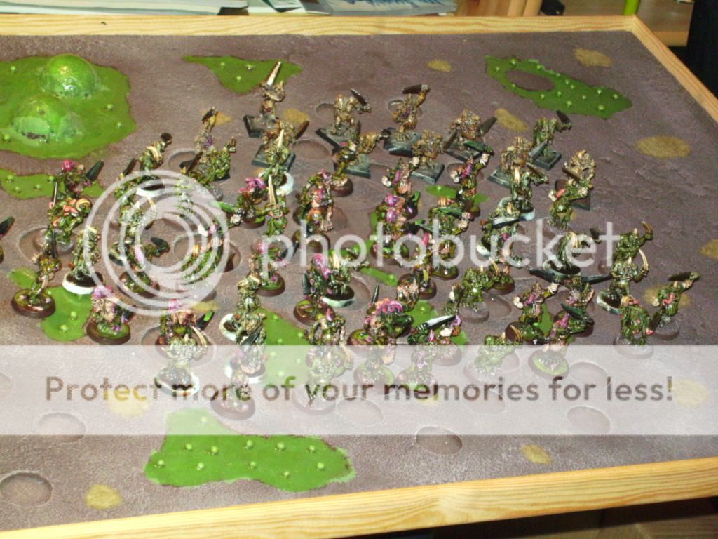 BILD1741.jpg