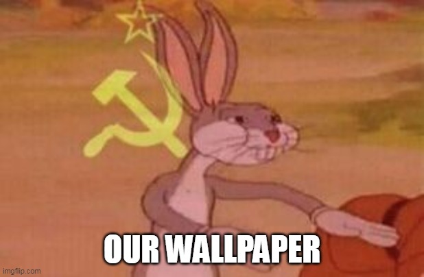 7fpkwi.jpg