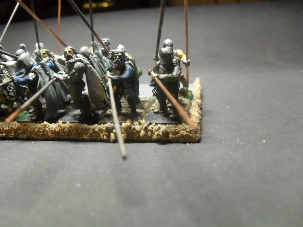 SDC11398.jpg