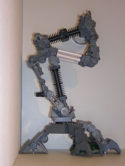DSCN1154.jpg