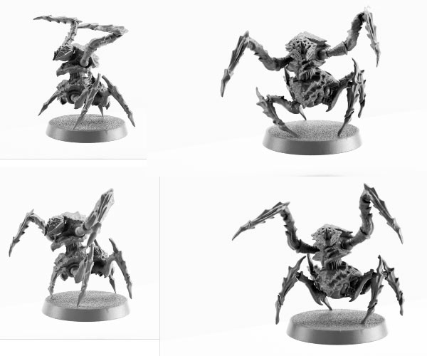 dfg-bugs.jpg
