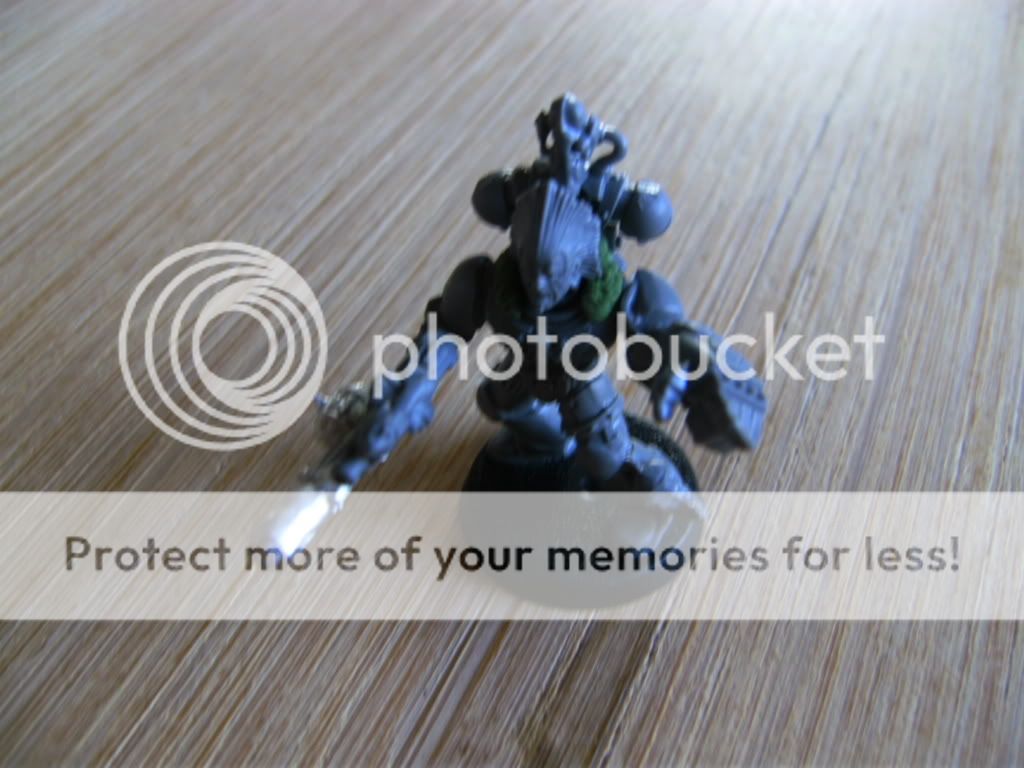 BILD0749.jpg