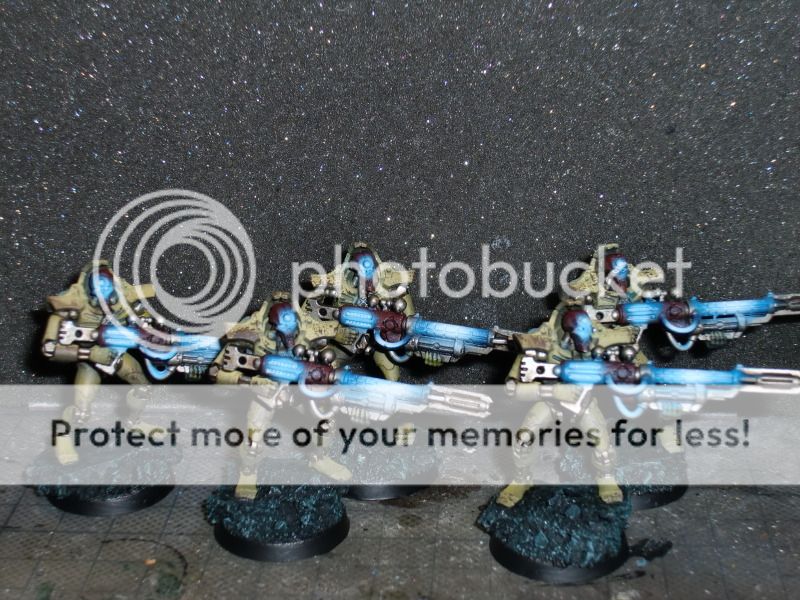 CIMG0677.jpg