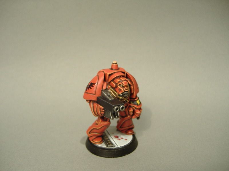 DSCF3099_zpsh9se0rza.jpg