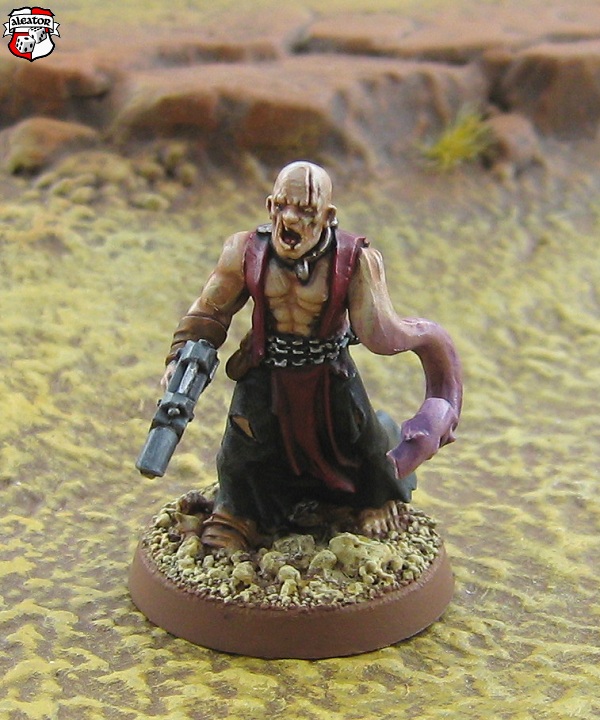 ser006.jpg