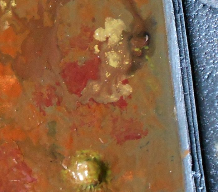 DSCN3543-Blubber_zps0cbb2adc.jpg