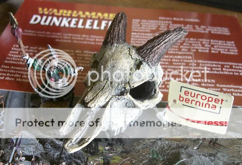 drachenschaedel.jpg