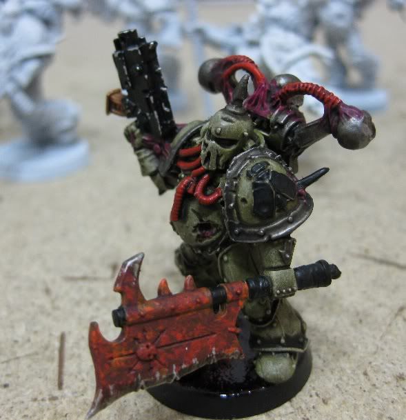 dg5.jpg