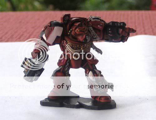 sh5.jpg