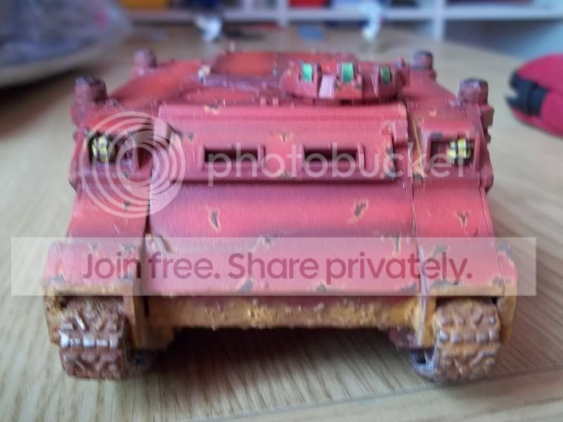 Rhino3.jpg