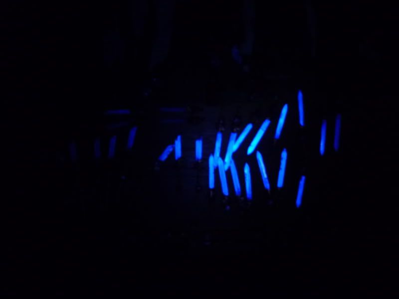 P1010486-1.jpg