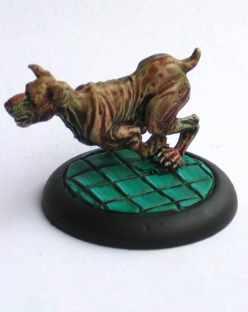 Hund3.jpg