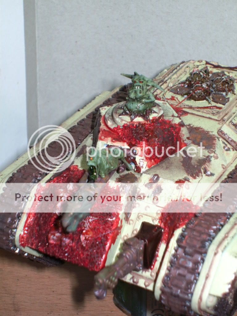 BILD1777.jpg