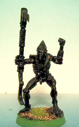 PICT0073.jpg
