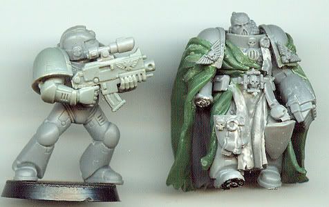 Templar-Champion.jpg