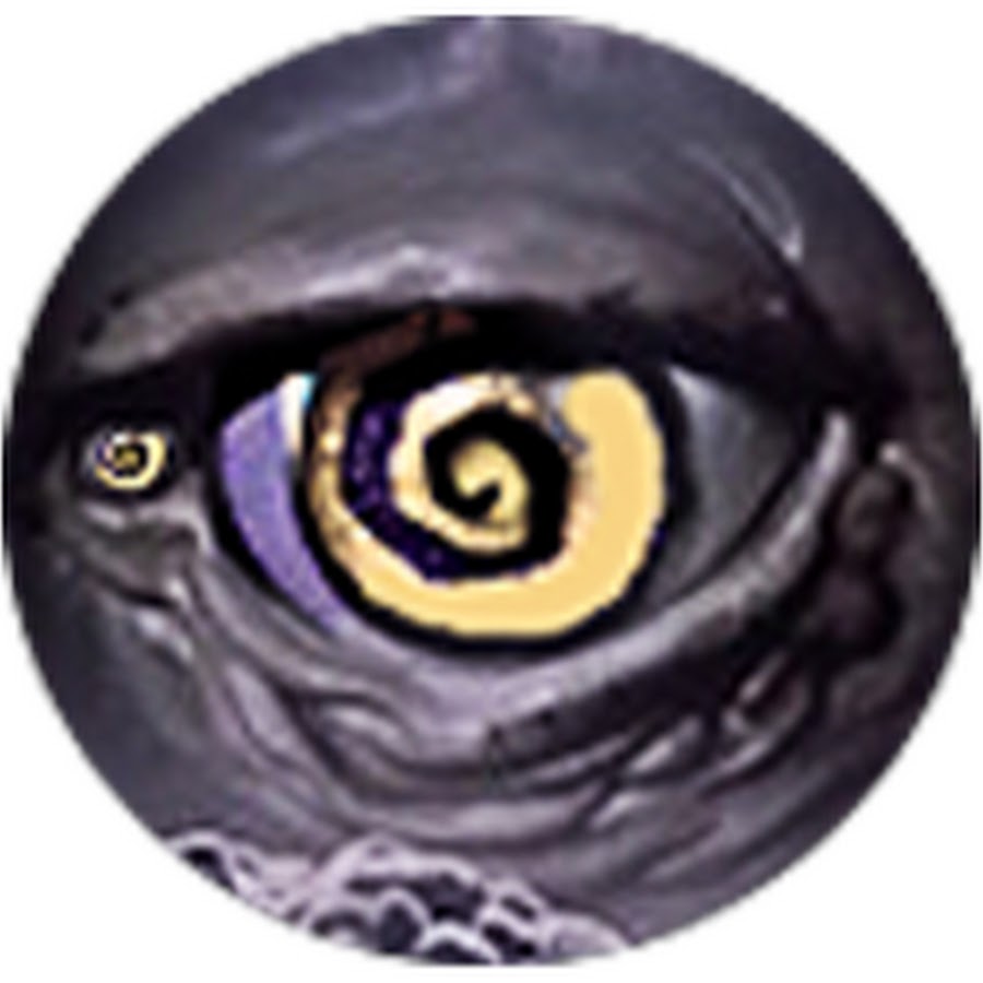 www.youtube.com