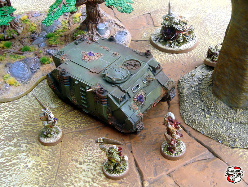 nurg040.JPG