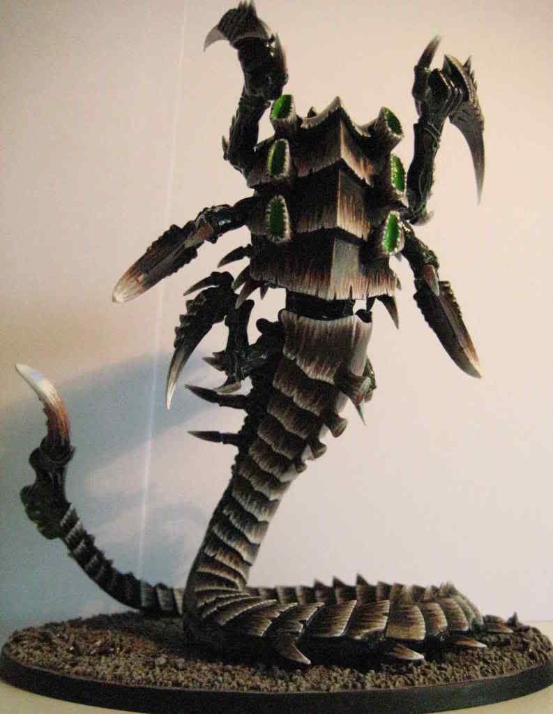 Trygon058.jpg