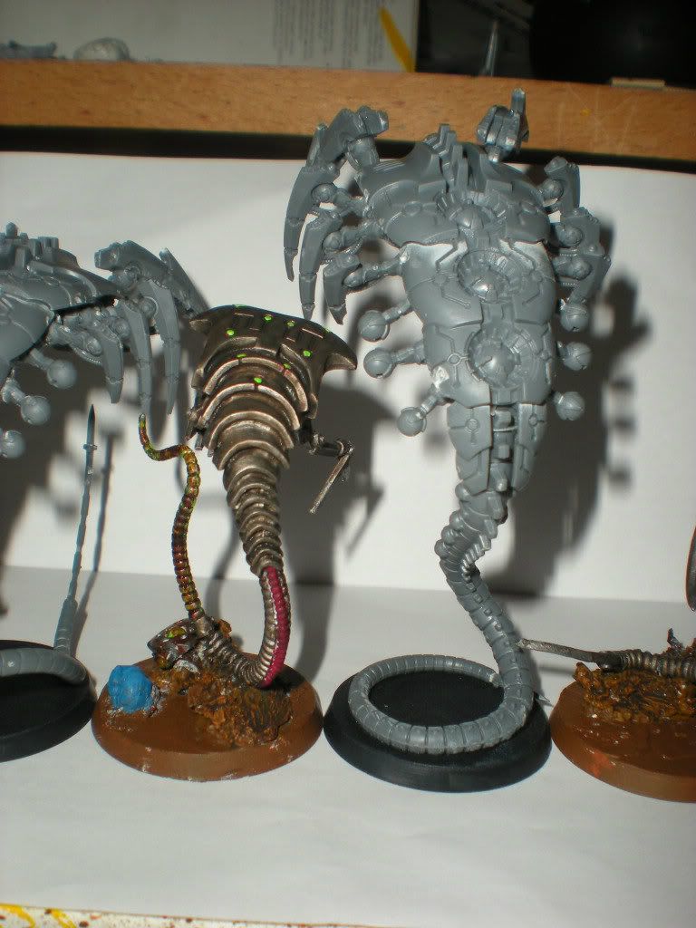 DSCN4598.jpg