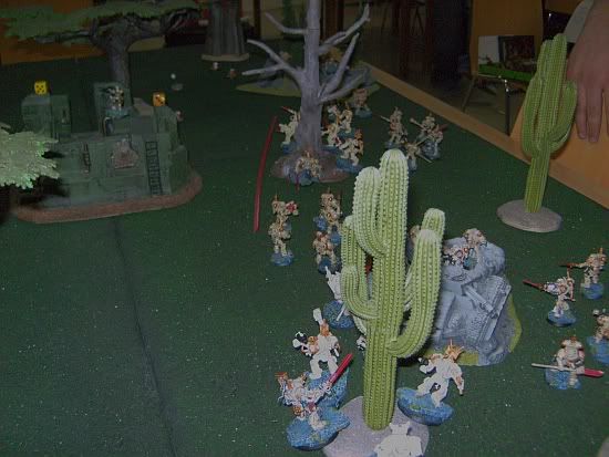 BILD1281.jpg