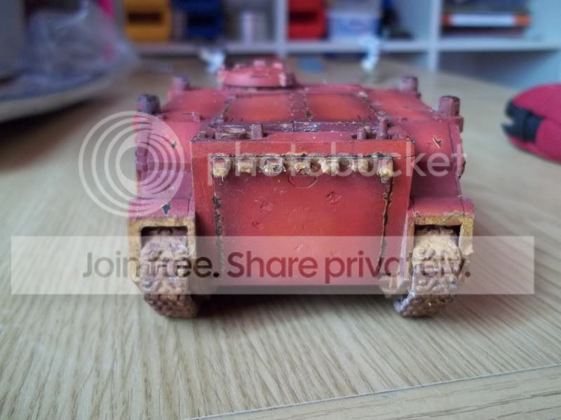 Rhino1.jpg