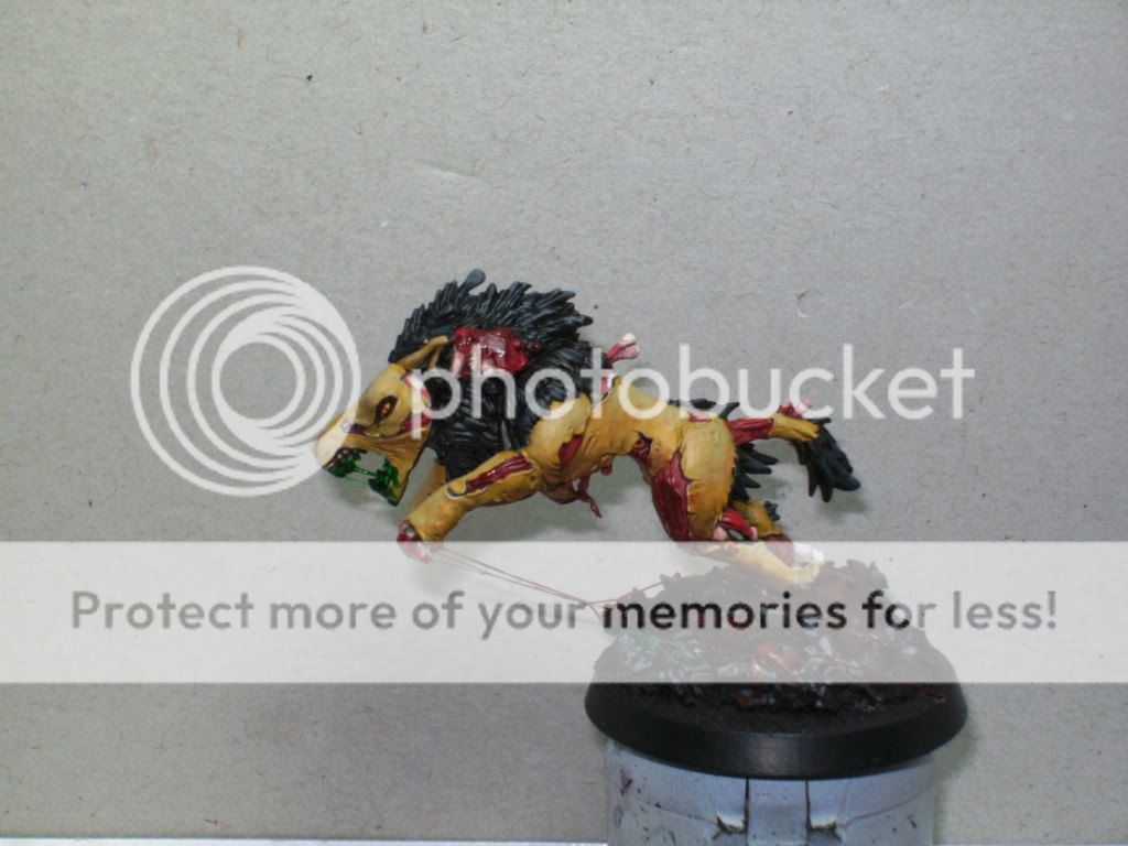 BILD1754.jpg