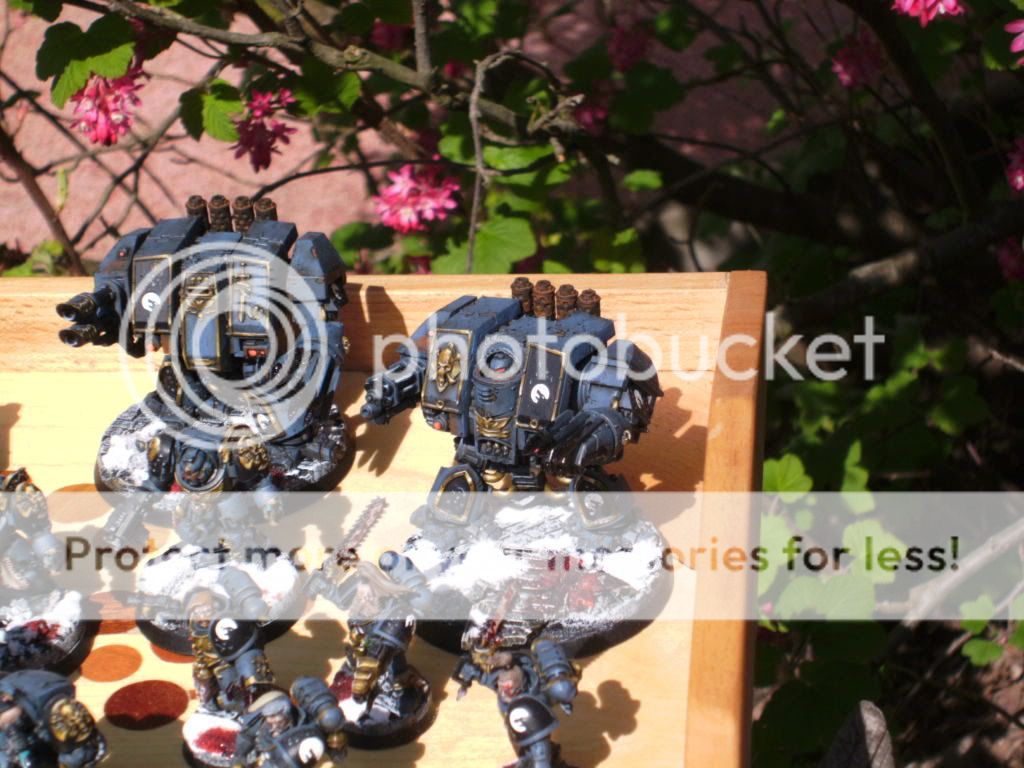 BILD2504.jpg
