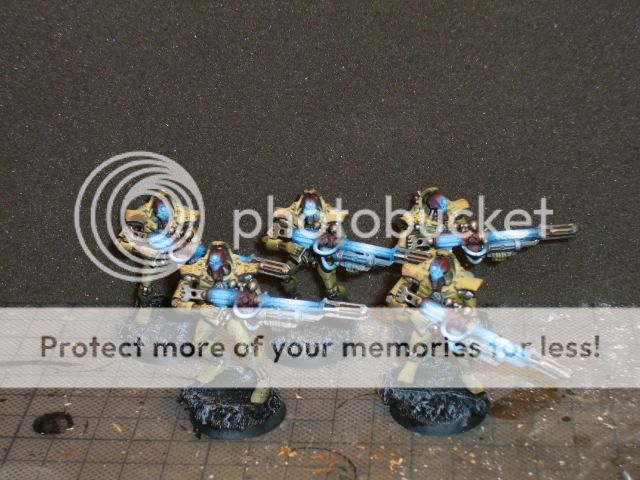 CIMG0669.jpg