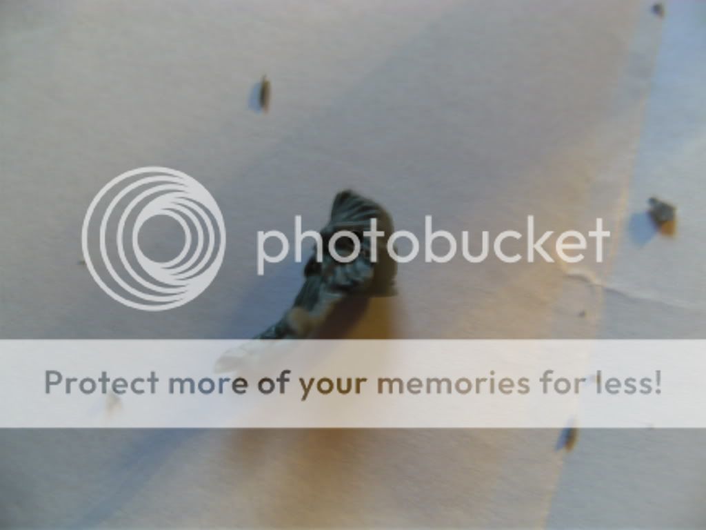 BILD0733.jpg