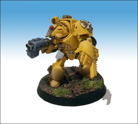 termi_hamster1.jpg