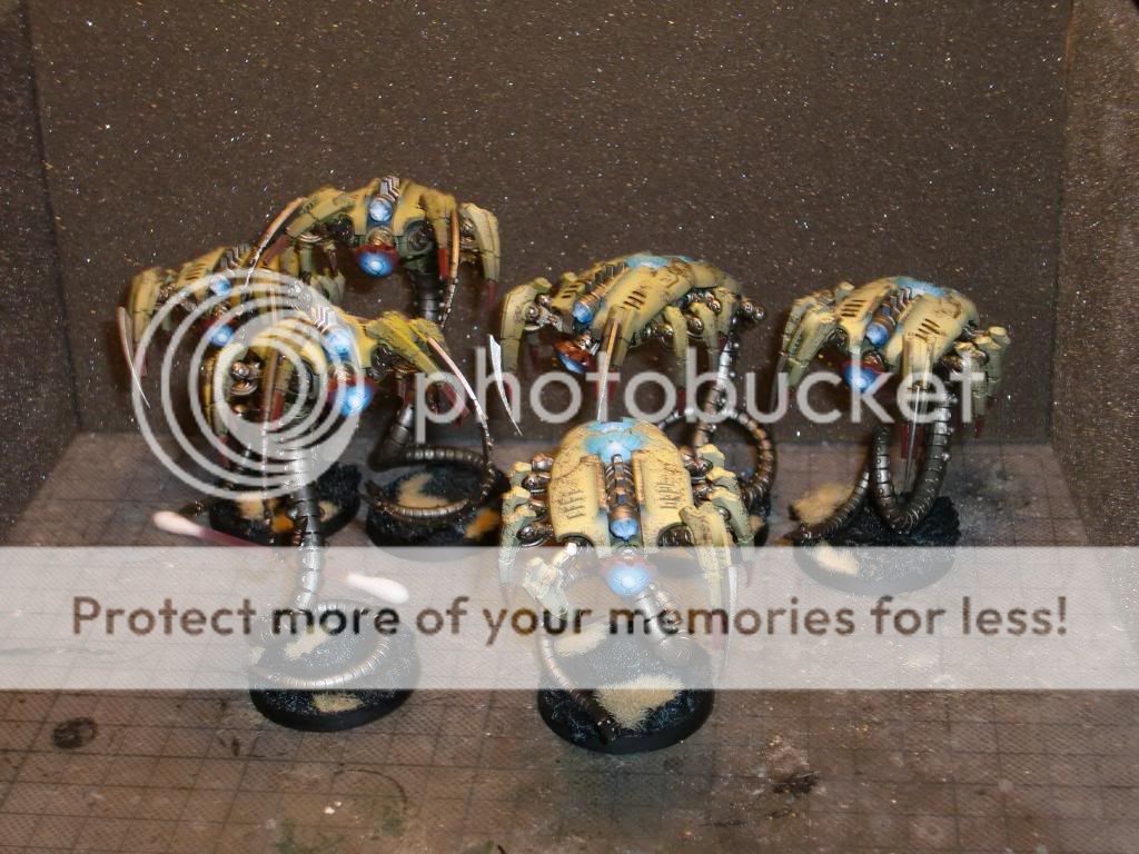 CIMG0701.jpg