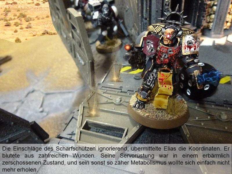 28418193dq.jpg