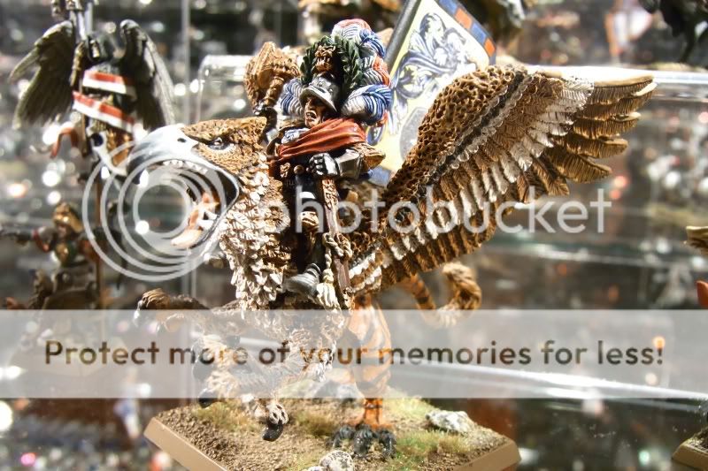 Greif.jpg