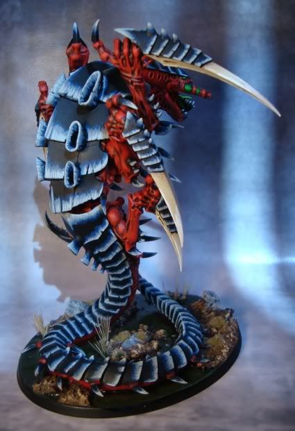 Trygon2-3.jpg