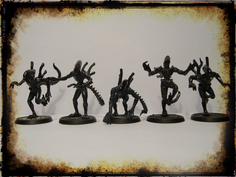 AlienWarriors2front.jpg