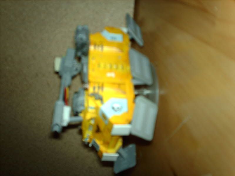 IMAG0199.jpg