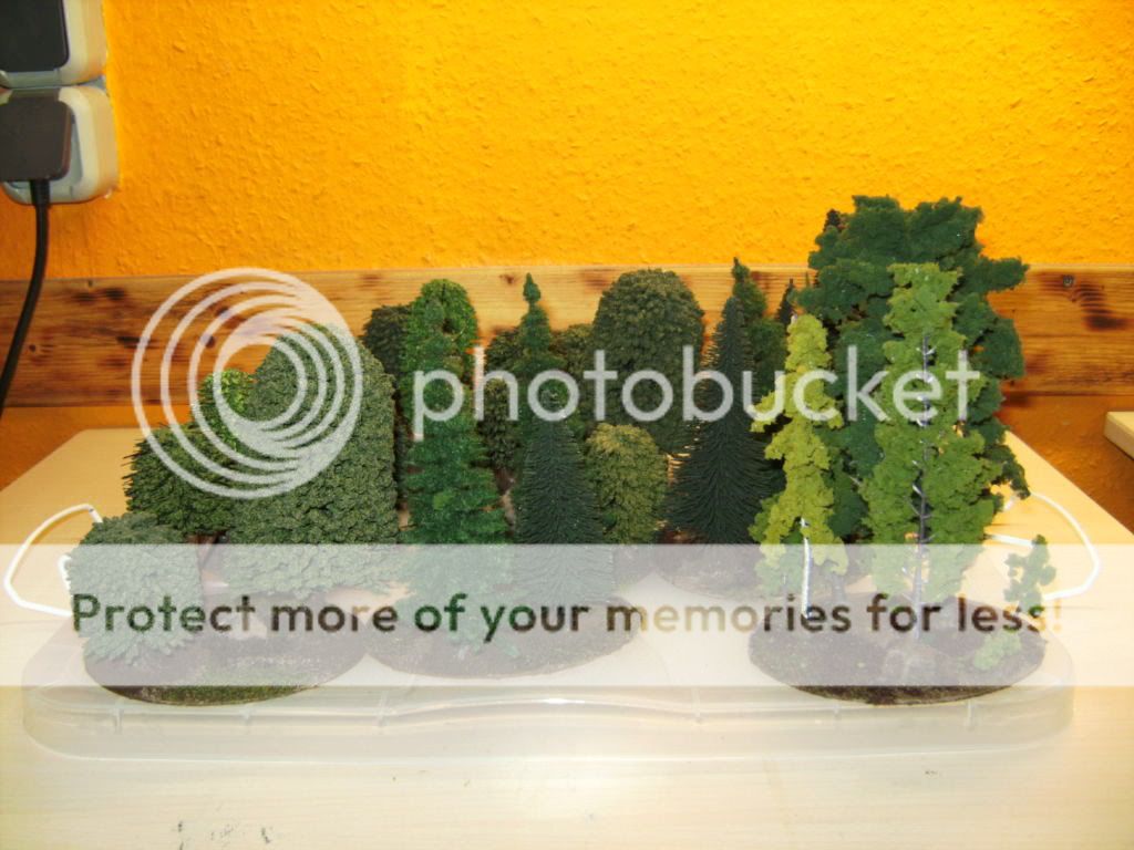 BILD2569.jpg