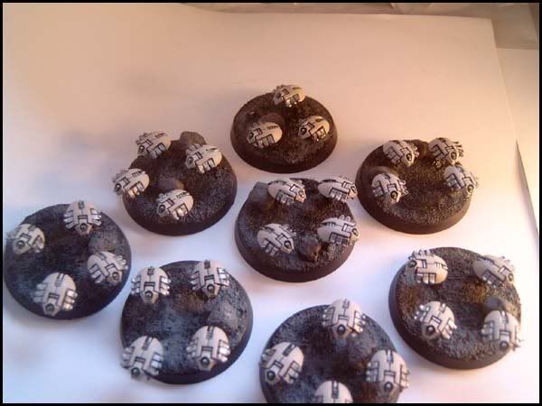 Skaraben01.jpg