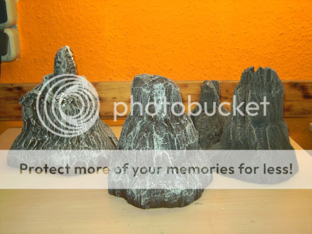 BILD2564.jpg