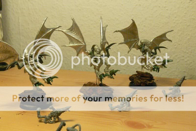 P1070575_800x535.jpg