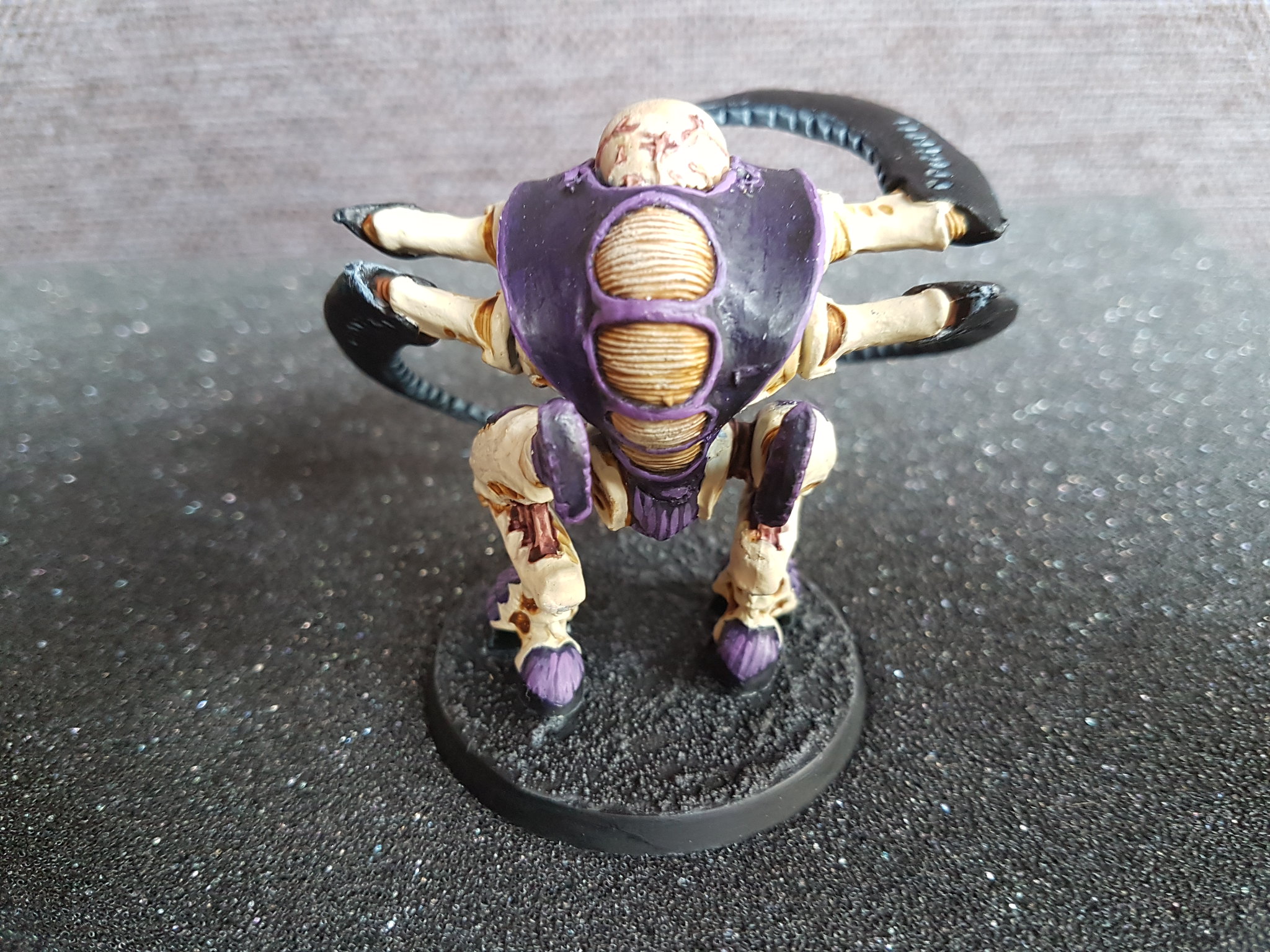 35196798976_51b4df6386_k.jpg