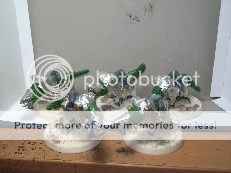 BILD2741.jpg