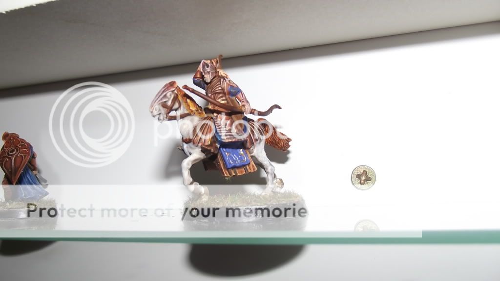 DSCF0548.jpg