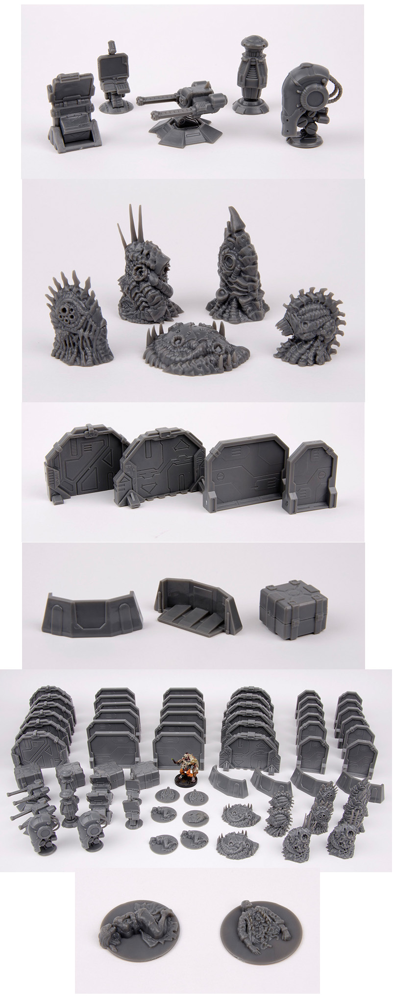 terrain_box_contents.jpg