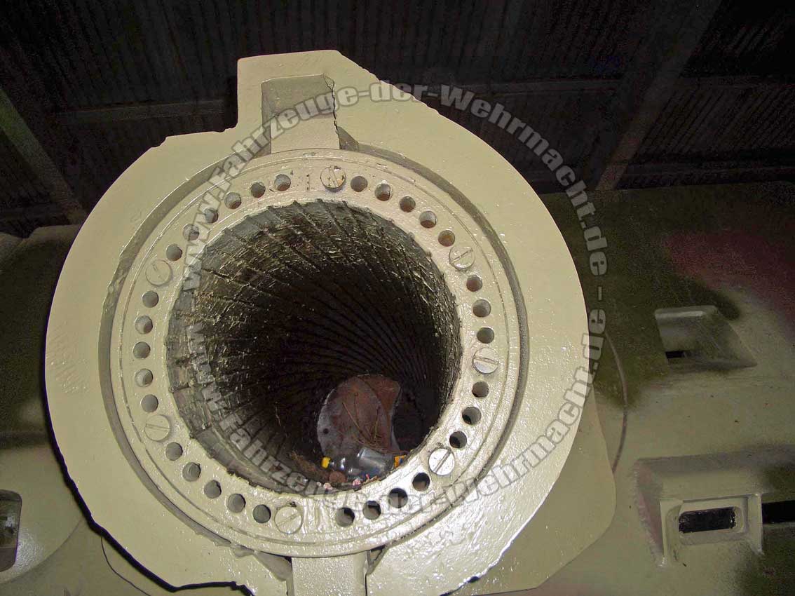 Sturmtiger_Ku_04-1.jpg