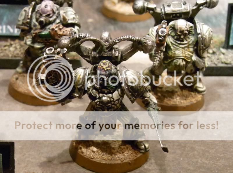 CSM2.jpg