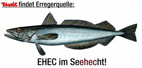 RTEmagicC_erregerquelle.jpg.jpg