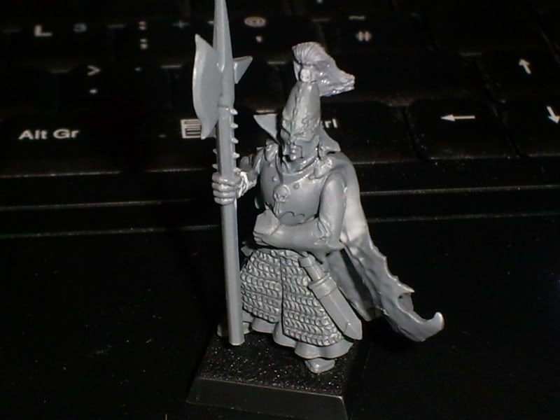 S5030969.jpg